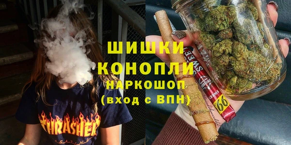 шишки Арсеньев