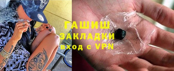 шишки Арсеньев