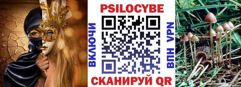 дарнет шоп  Алагир  Галлюциногенные грибы Cubensis 